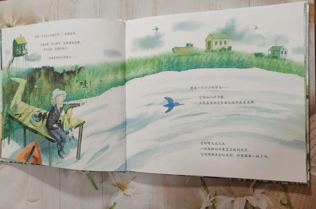 儿童情商社交游戏绘本_和孩子一起看绘本_绘本故事对孩子情感培养的作用