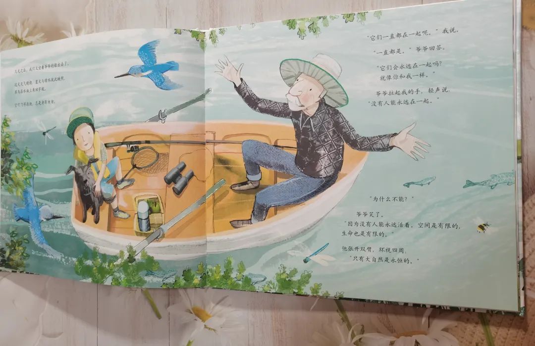 儿童情商社交游戏绘本_绘本故事对孩子情感培养的作用_和孩子一起看绘本