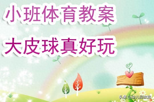 幼儿园小班体育教案《大皮球真好玩》含反思