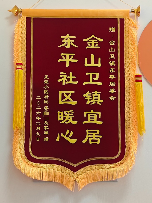 东平金山小区_金山卫镇宜居社区 东平居委会暖心服务 社区治理民生服务