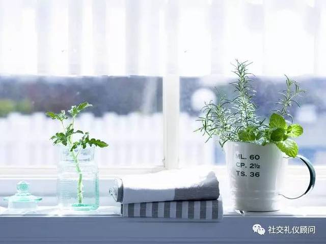 社交礼仪英文版_日常英语口语对话_英语常用表达