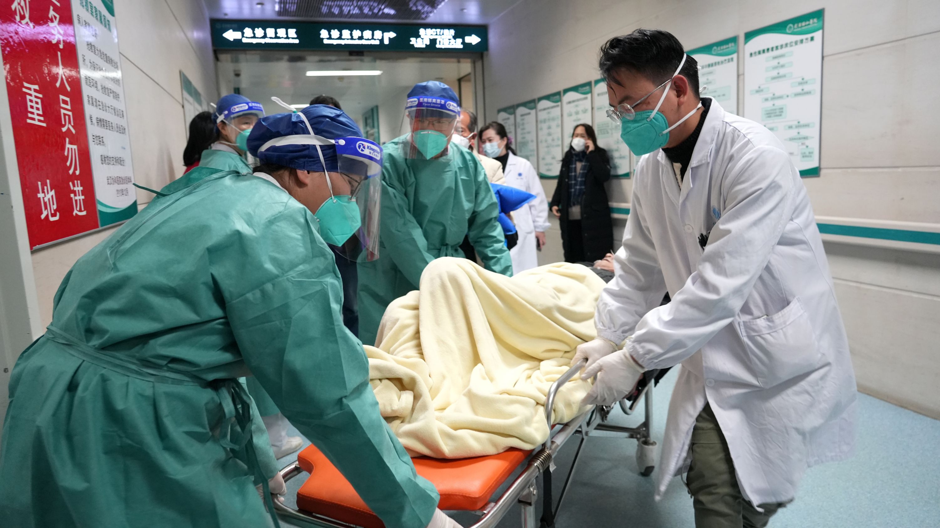 独居APP安全_社交媒体对生活的影响_独居人口增长趋势