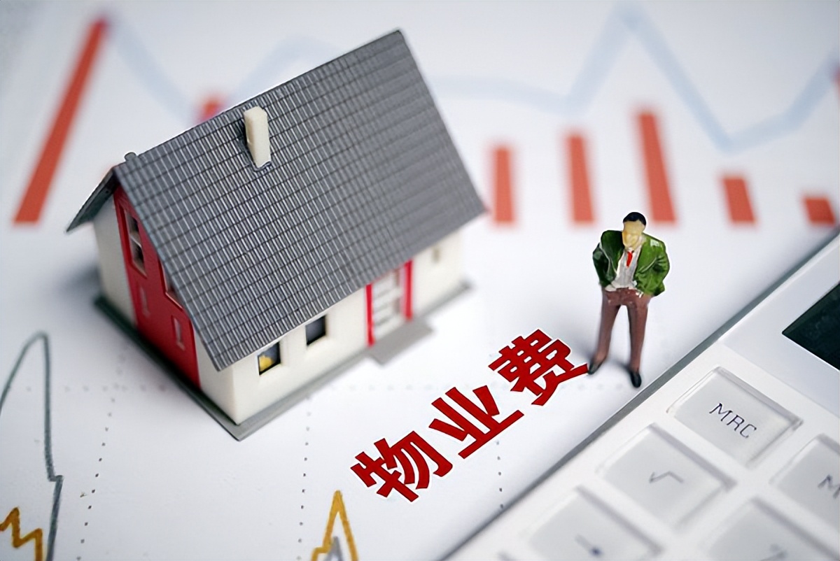 独居APP安全_独居人口增长趋势_社交媒体对生活的影响
