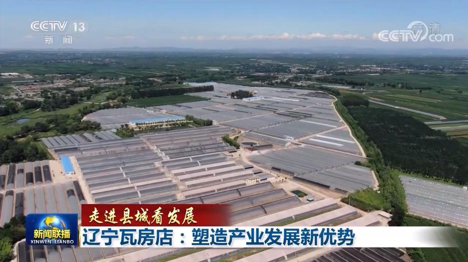辽宁瓦房店轴承产业_辽宁瓦房店精品农业_辽宁新闻联播视频
