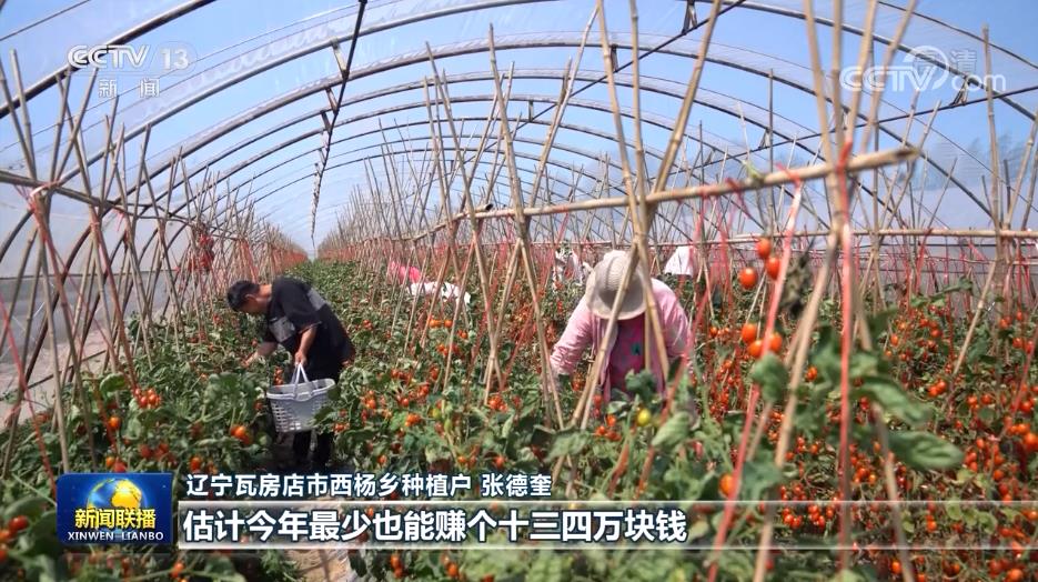 辽宁瓦房店轴承产业_辽宁瓦房店精品农业_辽宁新闻联播视频