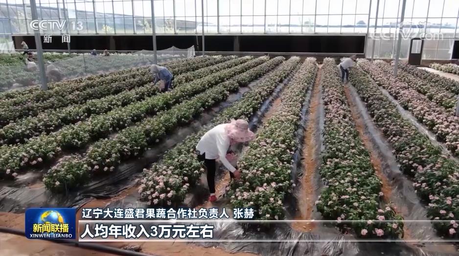 辽宁新闻联播视频_辽宁瓦房店精品农业_辽宁瓦房店轴承产业