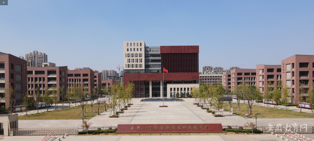 肥西县努力构建全学段的高质量育人体系
