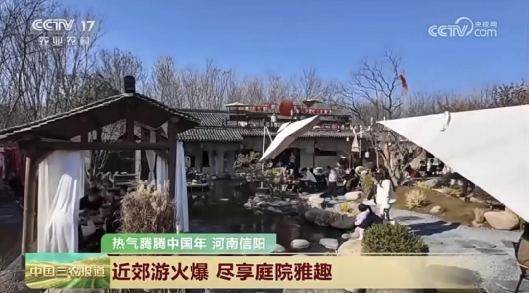央视聚焦河南文旅活动_河南省新闻频道直播_河南文旅春节央视报道