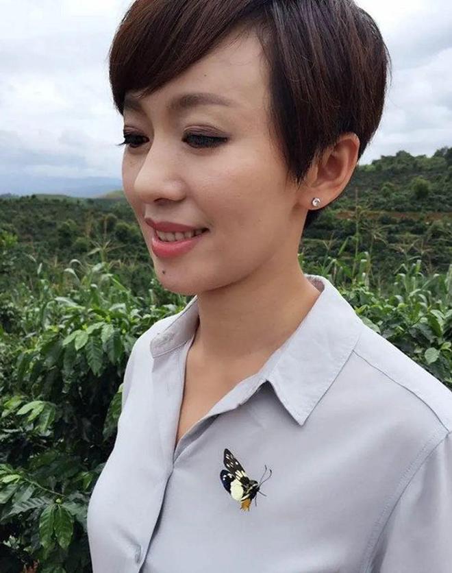 央视主持人秦方 主持人生涯经历_央视主持人紫凝 主持风格特点_cctv晚间新闻档目女主持人姓名
