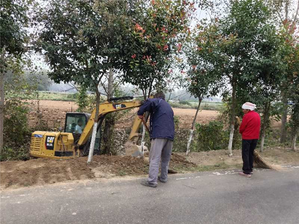 亳州谯城区：扶贫公益岗位让村庄更美丽