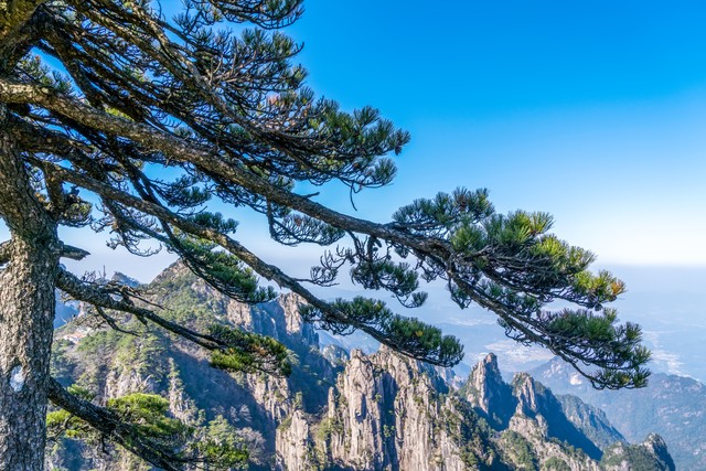 个人社交礼仪_道谢的高手方式_感谢的艺术