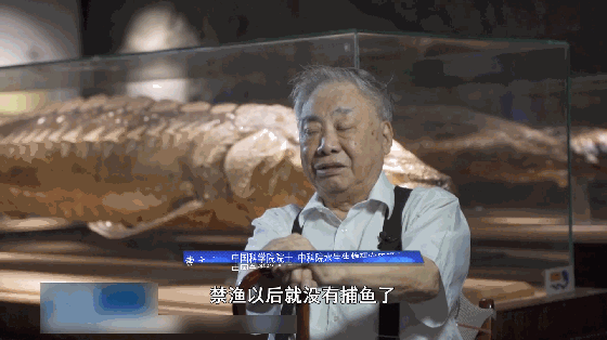 武汉今日视点_武汉市污染防治攻坚战_武汉生态环境保护十年发展变化