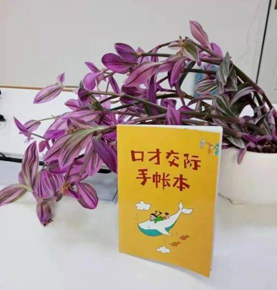 社交口才_少年口才班 6-12岁 社交礼仪