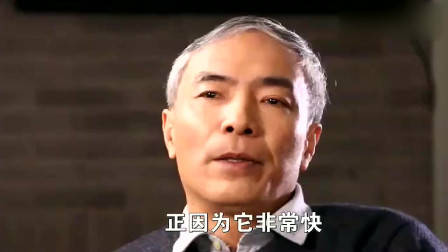 清华教授：权力从有威望的人，转移到有钱人手中