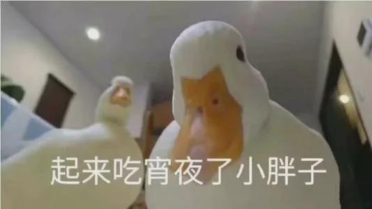90后社交压力_疲于分享朋友圈_疲于打卡网红店