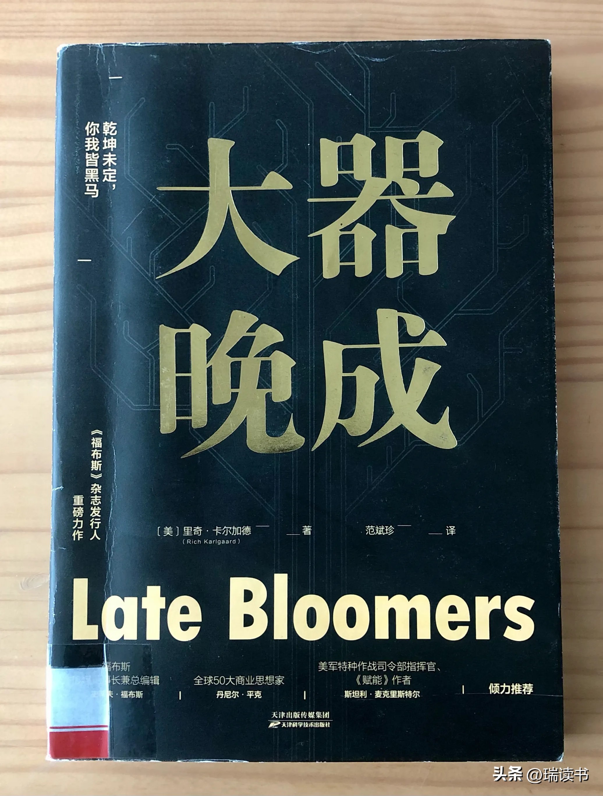 《大器晚成》——致所有年龄的晚熟者，一切都是最好的安排！