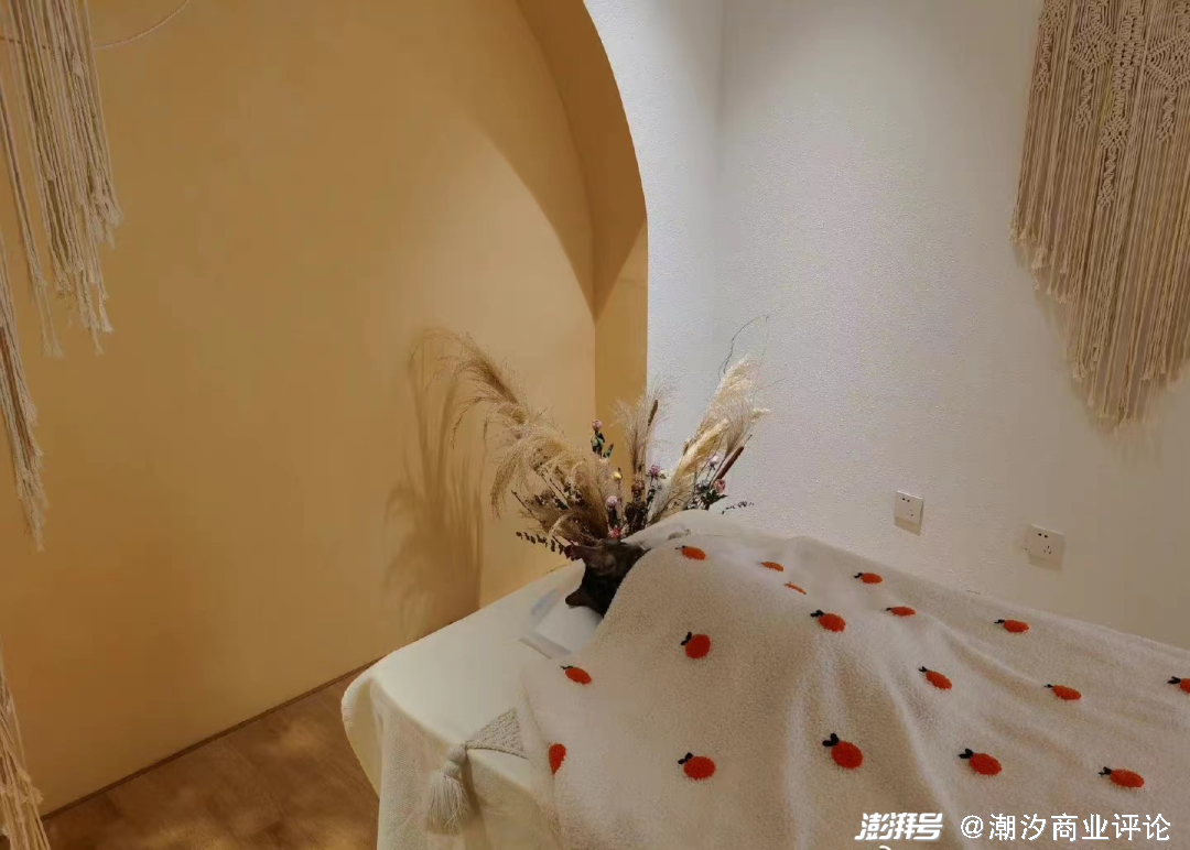 宠物社交 痛点_宠物经济市场分析_居家养宠