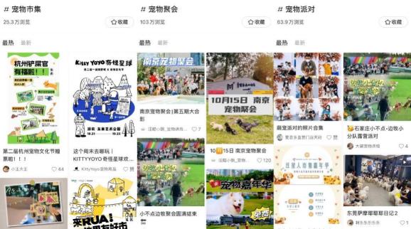 宠物社交活动_宠物派对策划_宠物社交 痛点