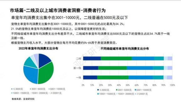 宠物派对策划_宠物社交活动_宠物社交 痛点