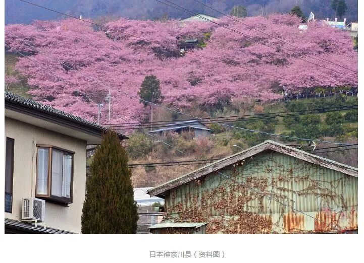 郑州市境外输入新冠病毒无症状感染者_郑州实时新闻_郑州市机动车号牌限行