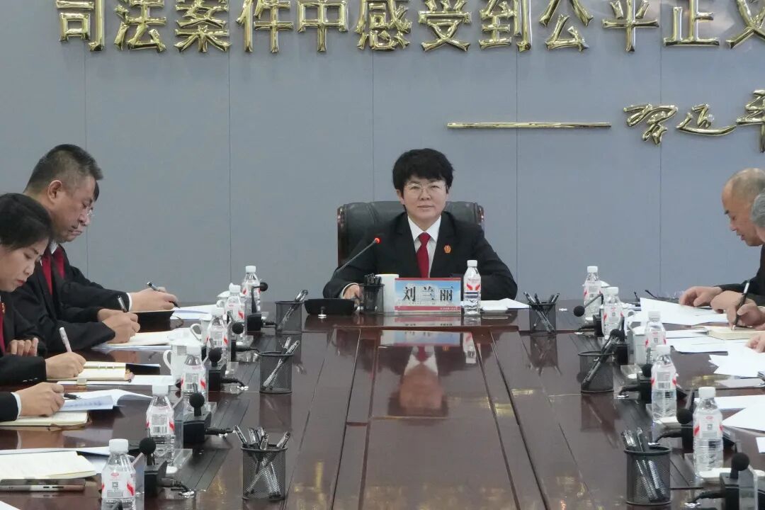 2025年法院工作总结_法院工作会议主持词_2026年法院工作思路