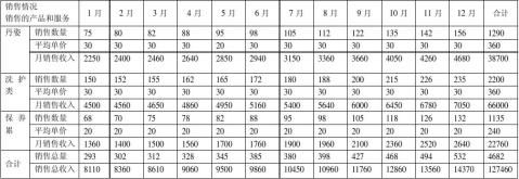 syb创业计划书
